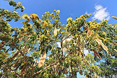 腾讯游戏《剑灵2》新视频 国服首测招募开启